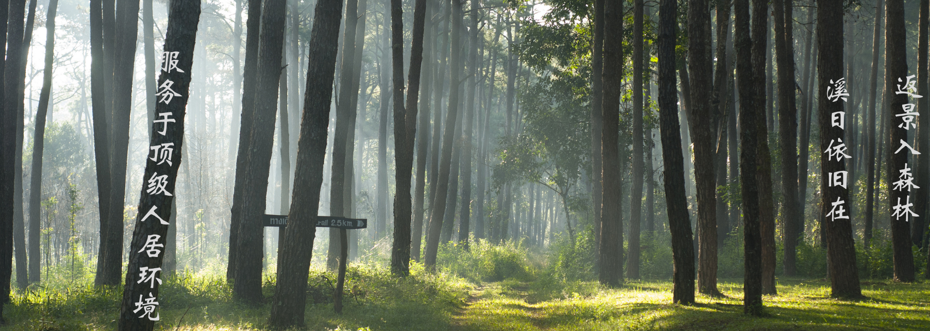九游会官方网站中心